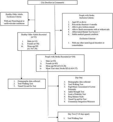 Psychometric Properties of the Trail Walking Test for People With Stroke